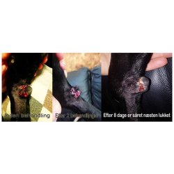 Photizo VetCare Lysbehandling